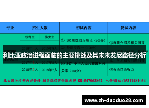 利比亚政治进程面临的主要挑战及其未来发展路径分析