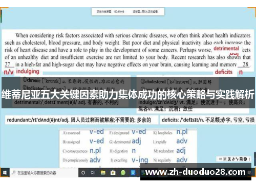 维蒂尼亚五大关键因素助力集体成功的核心策略与实践解析