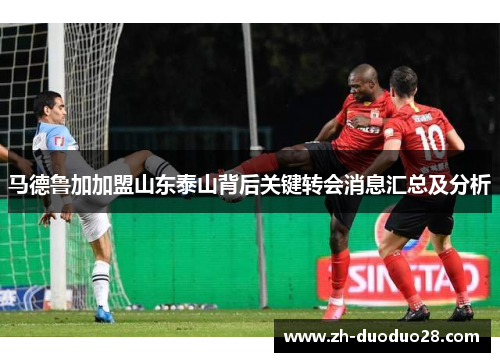 马德鲁加加盟山东泰山背后关键转会消息汇总及分析 马德鲁加加盟山东泰山背后关键转会消息汇总及分析
