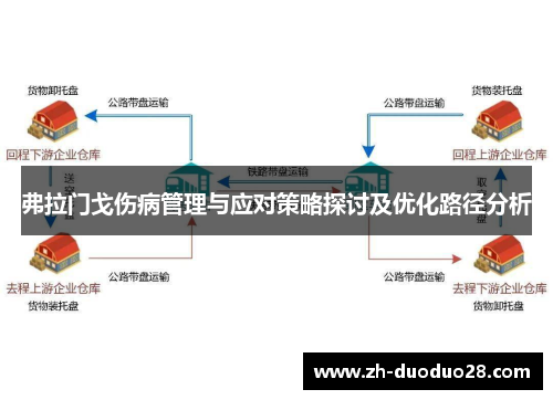 弗拉门戈伤病管理与应对策略探讨及优化路径分析